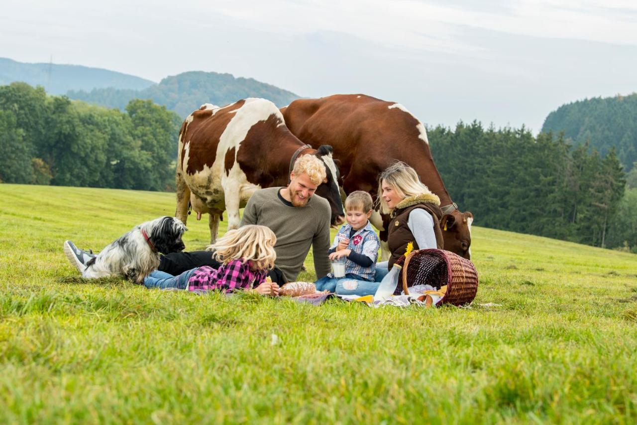 Westfalenhof Garni Willingen  Exteriér fotografie