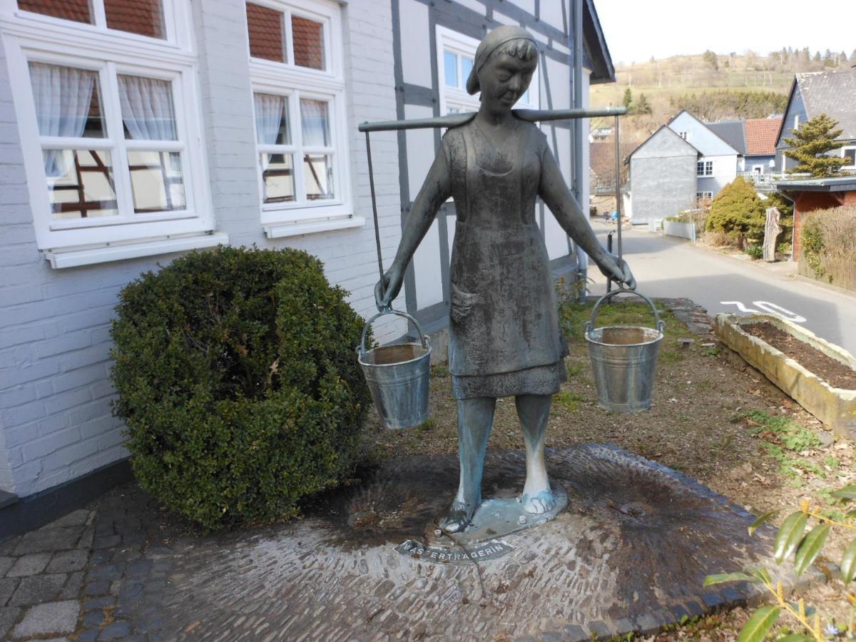 Westfalenhof Garni Willingen  Exteriér fotografie