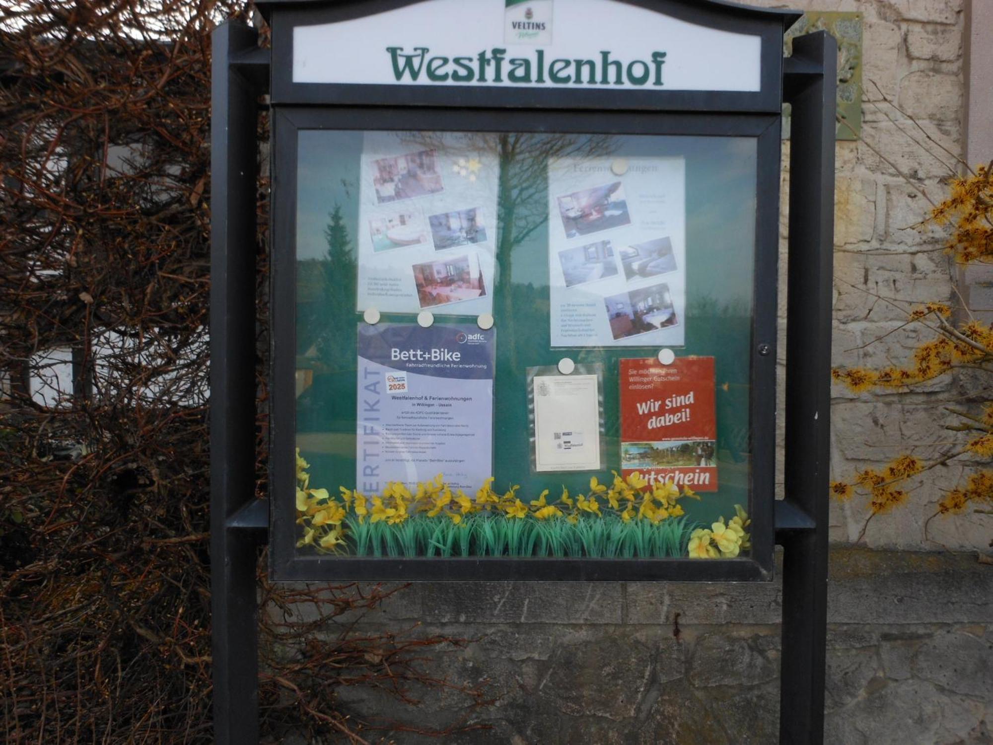 Westfalenhof Garni Willingen  Exteriér fotografie