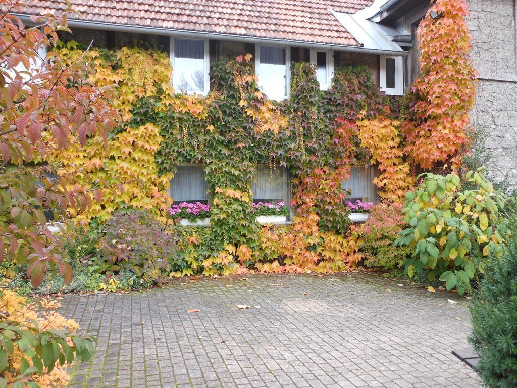 Westfalenhof Garni Willingen  Exteriér fotografie