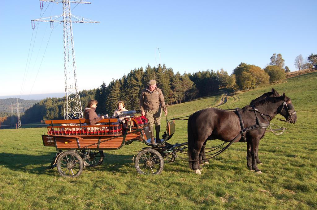 Westfalenhof Garni Willingen  Exteriér fotografie