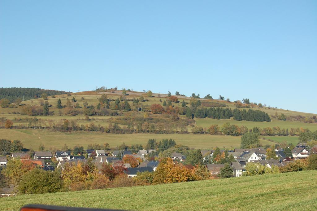 Westfalenhof Garni Willingen  Exteriér fotografie