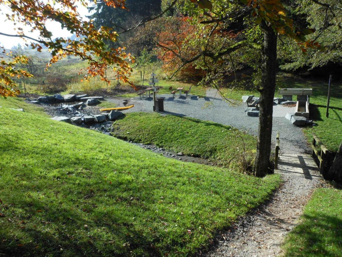 Westfalenhof Garni Willingen  Exteriér fotografie